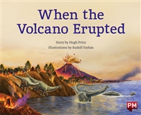 When the Volcano Erupted