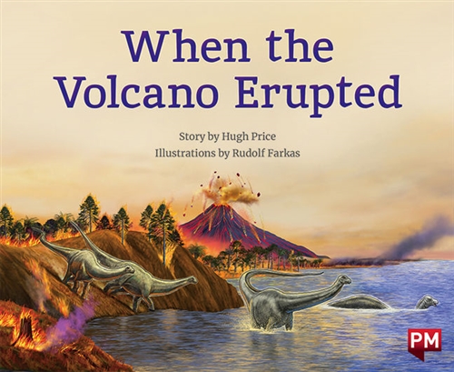 Picture of  When the Volcano Erupted
