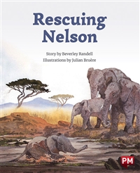 Rescuing Nelson
