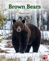 圖片 Brown Bears