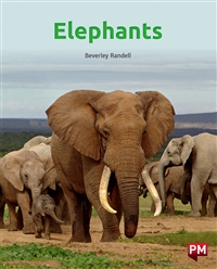 Elephants