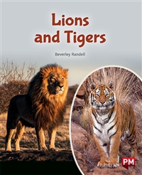 Lions and Tigers