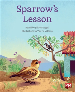 Sparrow's Lesson - 9780170328753