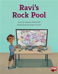 Ravi's Rockpool