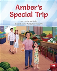 Amber's  Special Trip - 9780170328852