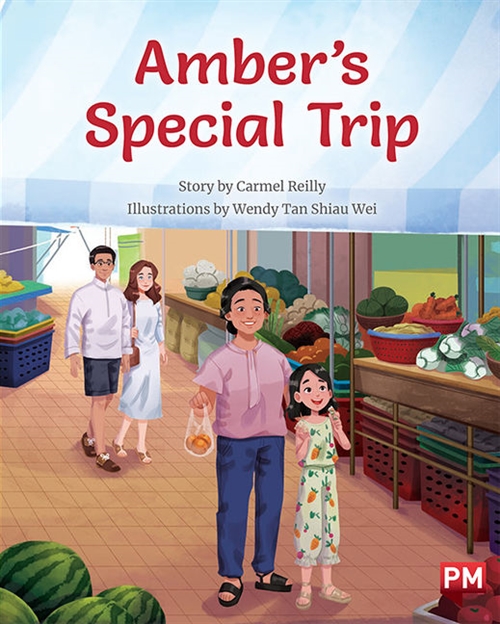 Picture of  Amber's Special Trip