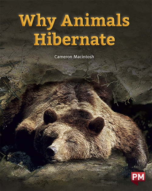 Picture of  Why animals hibernate