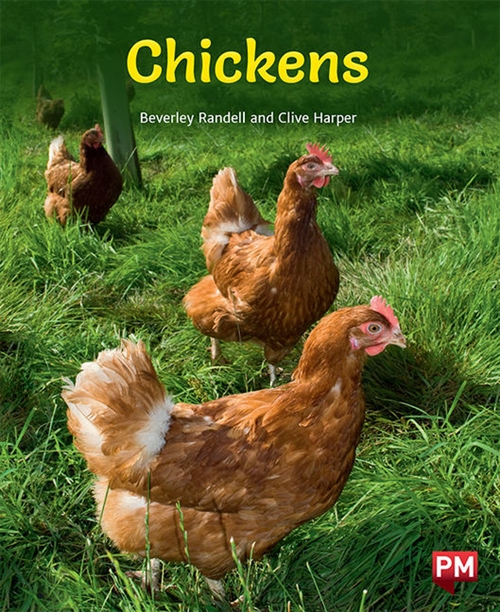 Picture of  Chickens