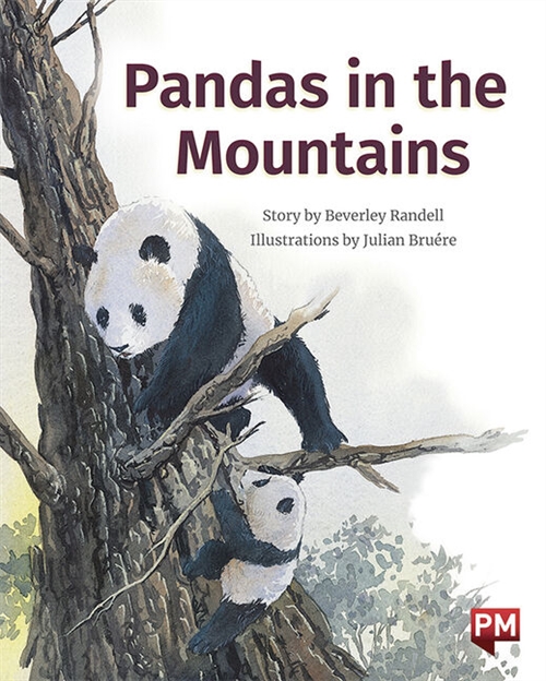 Picture of  Pandas in the Mountains