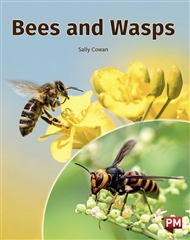Bees and Wasps - 9780170329163