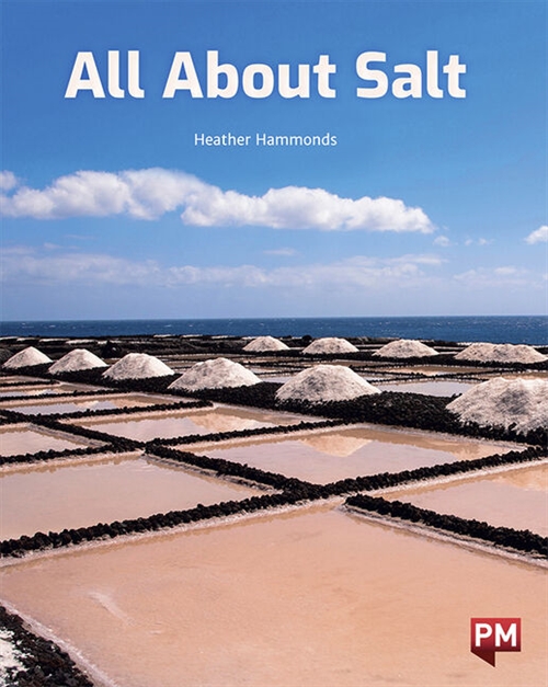 Picture of  All About Salt