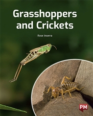 Grasshoppers and Crickets - 9780170329255