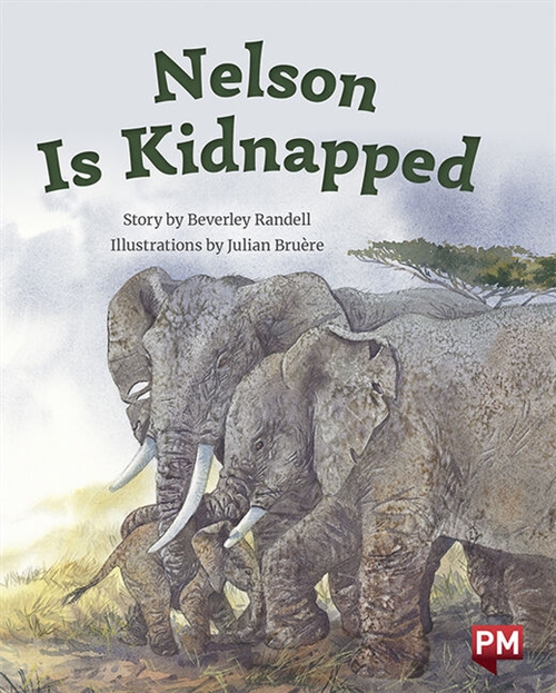 Picture of  Nelson Is Kidnapped