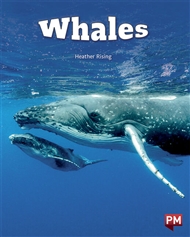 Whales - 9780170329361