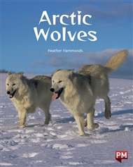 Arctic Wolves - 9780170329460