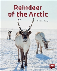 Reindeer of the Arctic