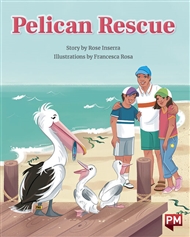 Pelican Rescue - 9780170329507