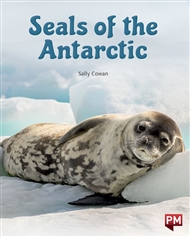 Seals of the Antarctic - 9780170329569