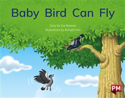 Baby Bird Can Fly - 9780170329576