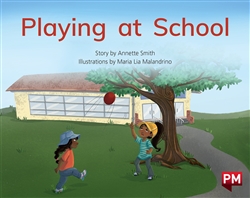 Playing at School - 9780170329668