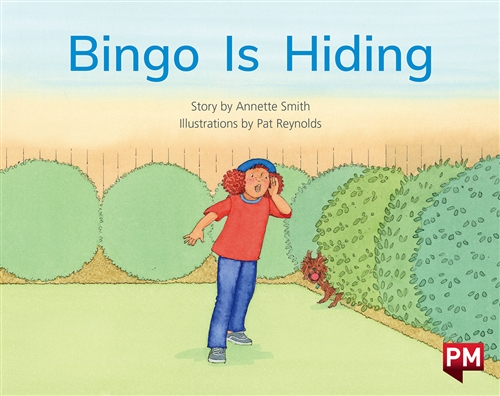 Picture of  Bingo is Hiding