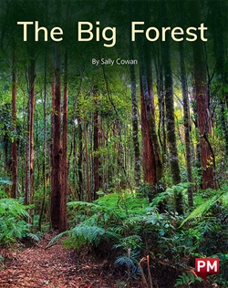 The Big Forest - 9780170329958
