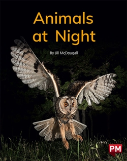 Animals at Night - 9780170330053