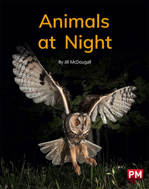 Picture of  Animals at Night