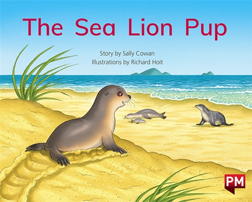 Picture of  The Sea Lion Pup