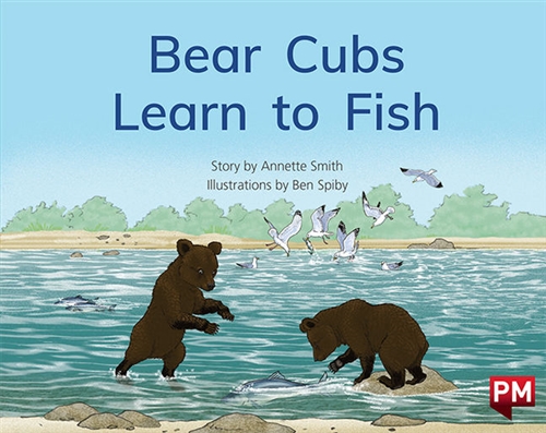 Picture of  Bear Cubs Learn to Fish