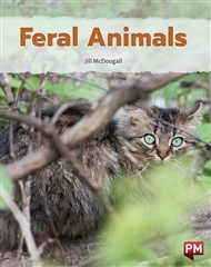 Feral Animals - 9780170332767