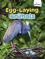 Egg-Laying Animals - 9780170334143