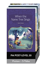 PM Post-Level 30 Fiction Pack x 5 - 9780170336307