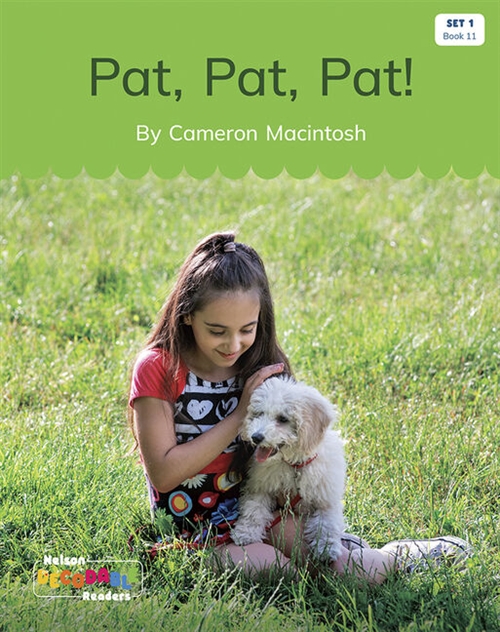 Picture of  Pat, Pat, Pat! (Set 1, Book 11)