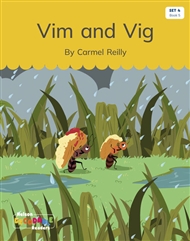 Vim and Vig