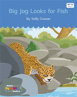 Big Jag Looks for Fish