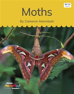 Moths