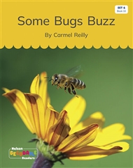 Some Bugs Buzz (Set 6, Book 10) - 9780170339858