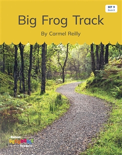 Big Frog Track