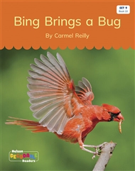 Bing Brings a Bug (Set 9, Book 10) - 9780170339919