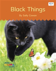 Black Things (Set 8.1, Book 1) - 9780170339926