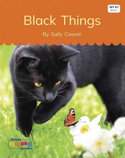 Picture of  Black Things (Set 8.1, Book 1)