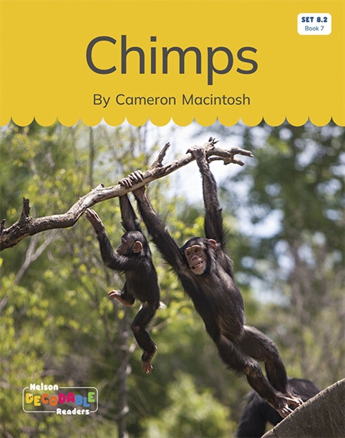 Picture of  Chimps (Set 8.2, Book 7)