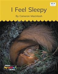 I Feel Sleepy (Set 10, Book 3) - 9780170340205