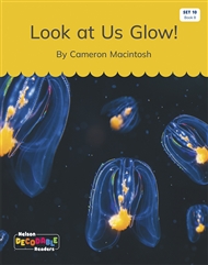 Look at Us Glow (Set 10, Book 8) - 9780170340250