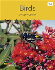 Birds (Set 11, Book 6) - 9780170340335
