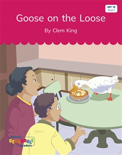 Goose on the Loose