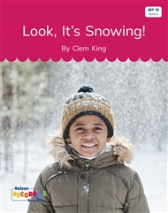 Look, It's Snowing! (Set 13, Book 6) - 9780170340533