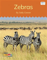 Zebras (Set 14, Book 2) - 9780170340571