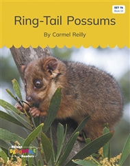 Ring-Tail Possums (Set 14, Book 10) - 9780170340656